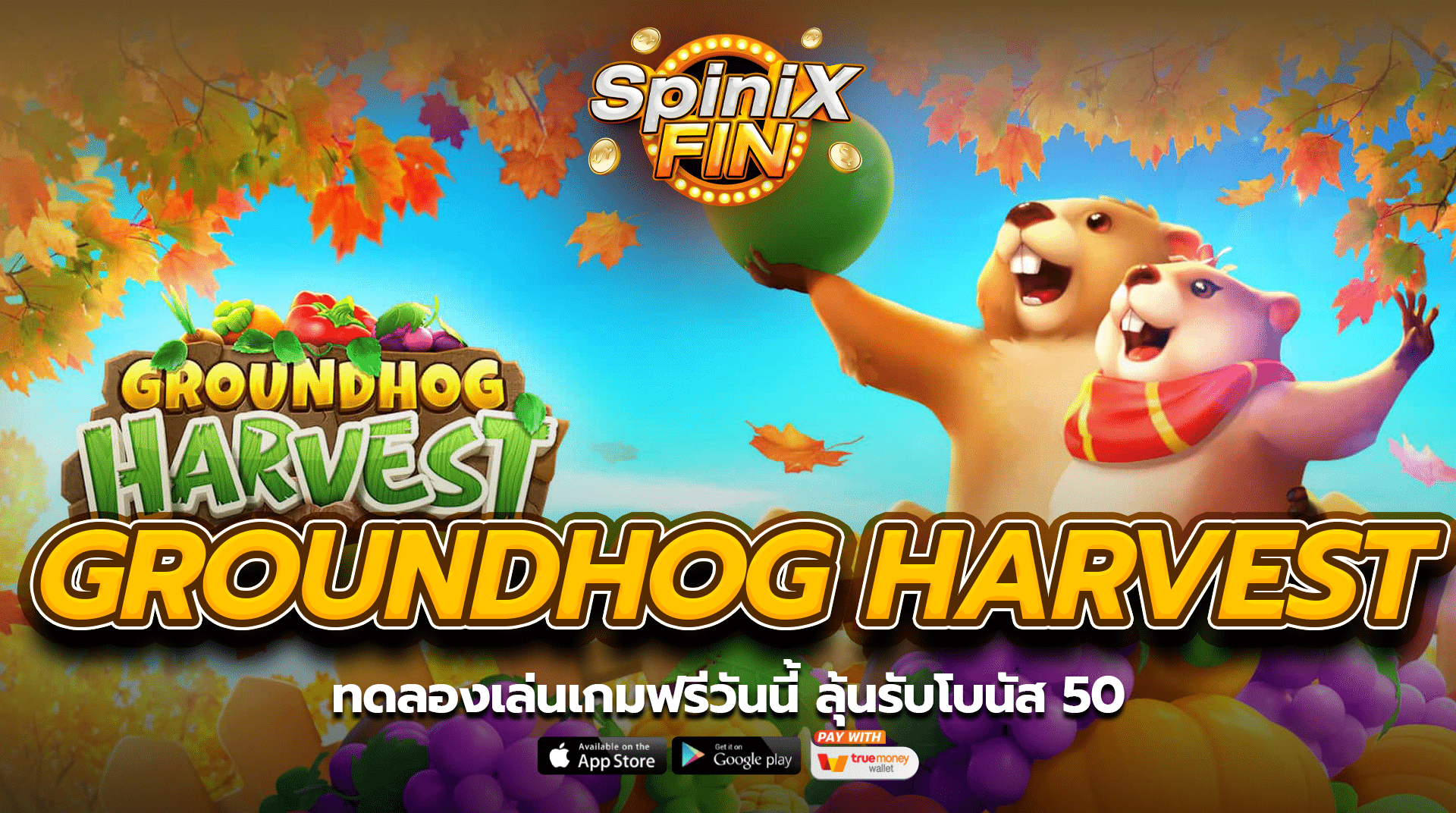GROUNDHOG HARVEST ทดลองเล่นเกมฟรีวันนี้ ลุ้นรับโบนัส 50