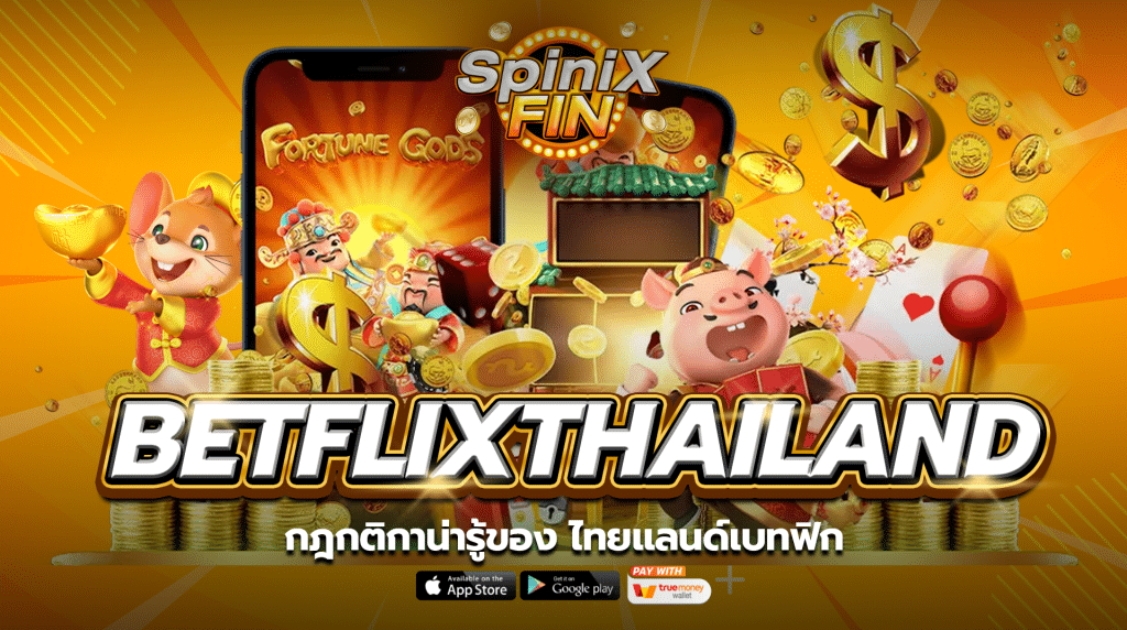 กฎกติกาน่ารู้ของ ไทยแลนด์เบทฟิก