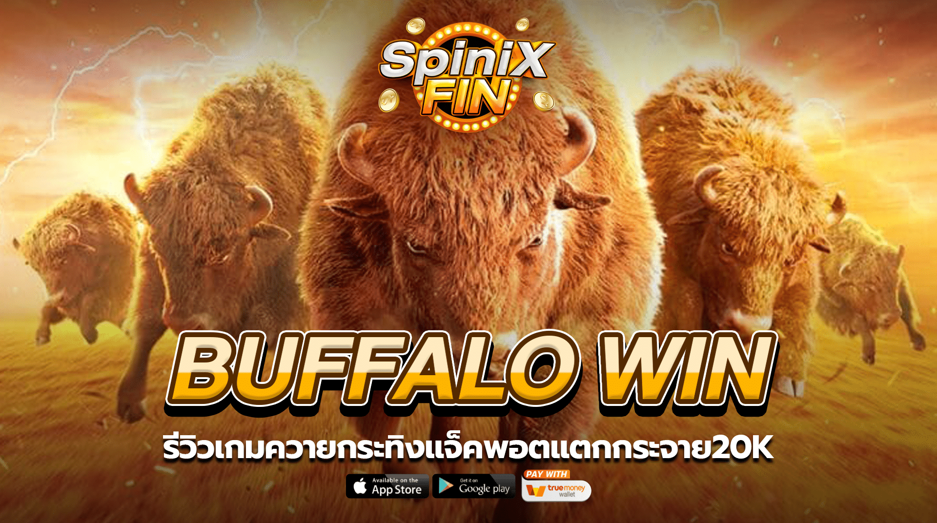 BUFFALO WIN รีวิวเกมควายกระทิงแจ็คพอตแตกกระจาย20K