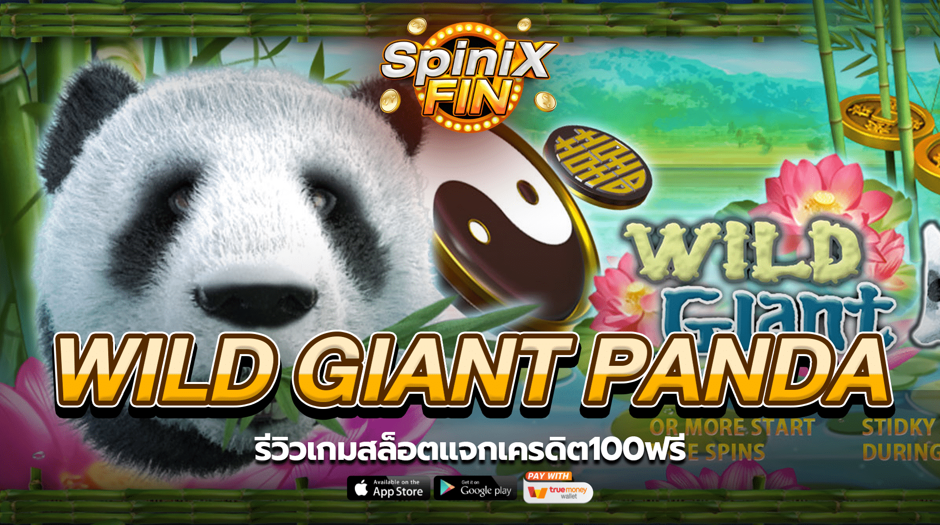 รีวิวเกมสล็อต WILD GIANT PANDA แจกเครดิต100ฟรี