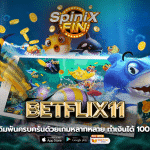 เดิมพันไปกับ BETFLIX11 ครบครันด้วยเกมหลากหลาย ทำเงินได้ 100%