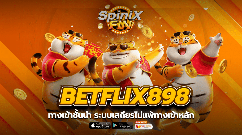 ทางเข้าชั้นนำ ระบบเสถียรไม่แพ้ทางเข้าหลัก