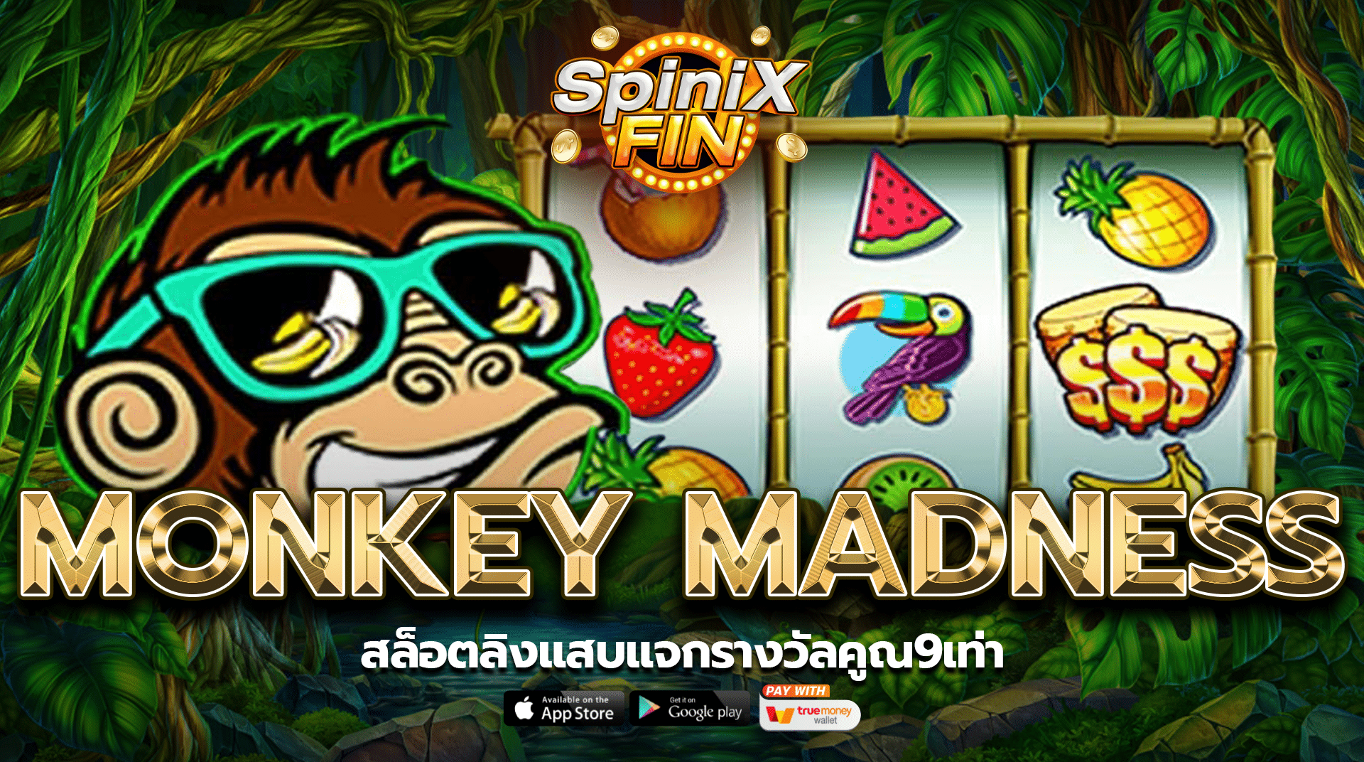 รีวิวเกม MONKEY MADNESS ค่าย PRAGMATIC PLAY