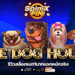 รีวิวเกม THE DOG HOUSE ค่าย PRAGMATIC PLAY