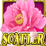 SCATTER เกม QUEEN ค่าย JOKER