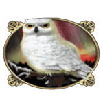 นกฮูก เกม ARCTIC TREASURE ค่าย JOKER