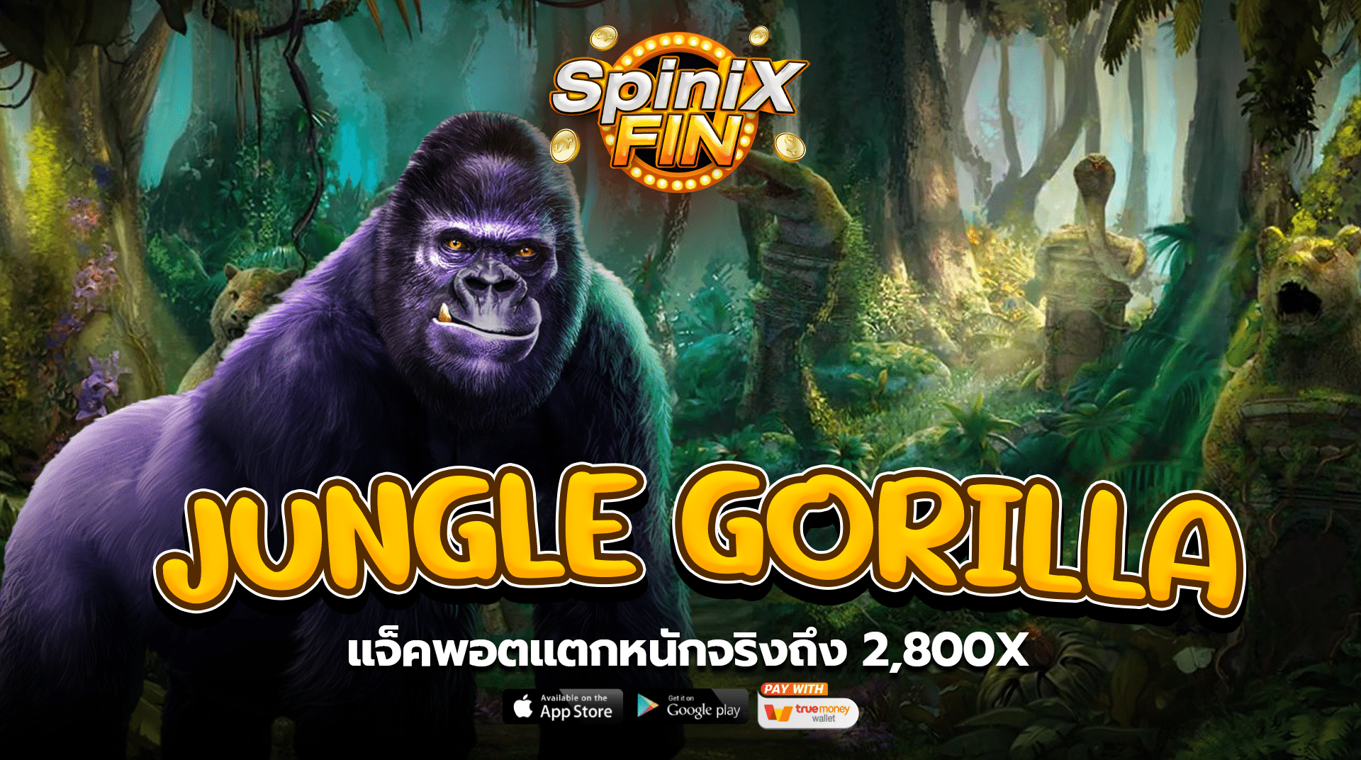 รีวิวเกม JUNGLE GORILLA ค่าย PRAGMATIC PLAY