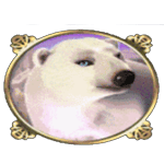 หมีขาว เกม ARCTIC TREASURE ค่าย JOKER