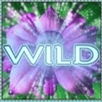 WILD เกม THAI PARADISE ค่าย JOKER
