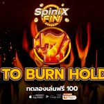 รีวิวเกม HOT TO BURN HOLD SPIN ค่าย PRAGMATIC PLAY