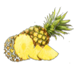สัปปะรด เกม tropical crush ค่าย Joker