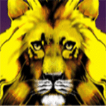Wild เกม FIFTY LIONS ค่าย JOKER