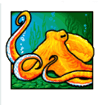ปลาหมึก เกม DOLPHIN TREASURE ค่าย JOKER