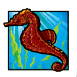 ม้าน้ำเกม DOLPHIN TREASURE ค่าย JOKER