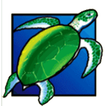 เต่า เกม DOLPHIN TREASURE ค่าย JOKER