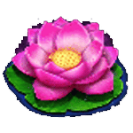 ดอกบัว เกมKOI POND ค่ายPP