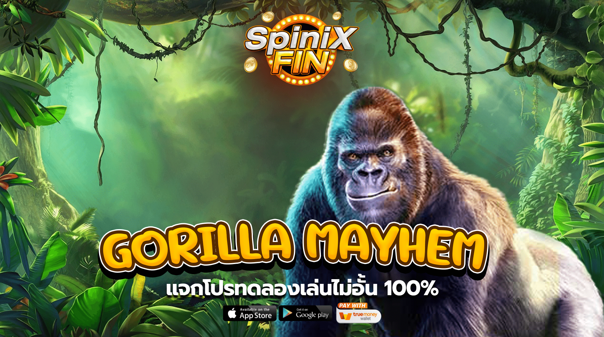 รีวิวเกม GORILLA MAYHEM ค่าย PRAGMATIC PLAY