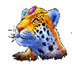 สัญลักษณ์พิเศษ เสือ เกมBOOK OF AZTEC KING ค่ายPP