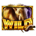 WILD SYMBOL เกมAFRICAN ELEPHANT ค่ายPP