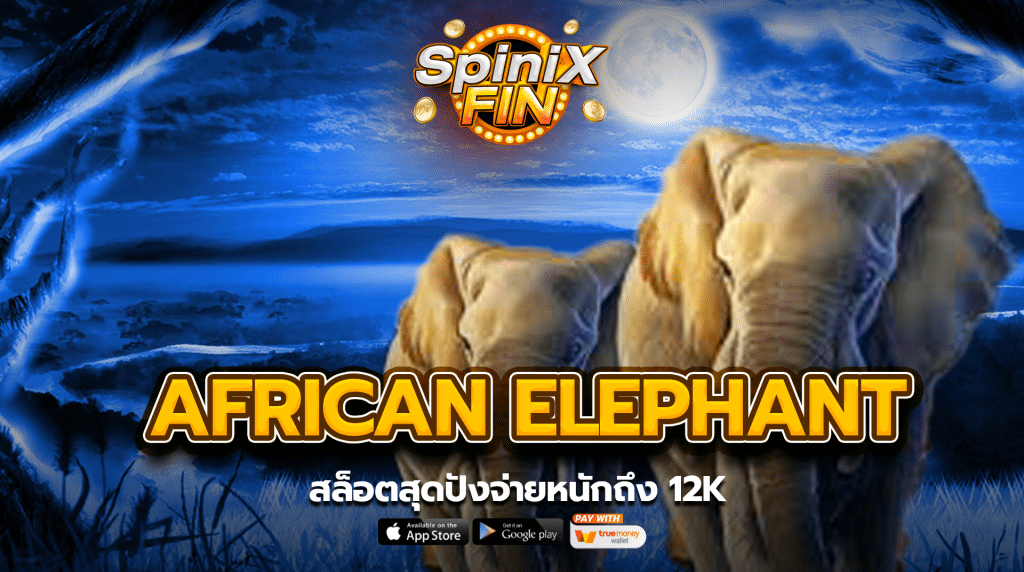 รีวิวเกม AFRICAN ELEPHANT ค่าย PRAGMATIC PLAY
