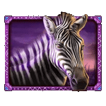 สัญลักษณ์พิเศษ ม้าลาย เกมAFRICAN ELEPHANT ค่ายPP