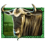 สัญลักษณ์พิเศษ วัวป่า เกมAFRICAN ELEPHANT ค่ายPP