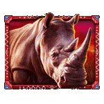 สัญลักษณ์พิเศษ แรด เกมAFRICAN ELEPHANT ค่ายPP