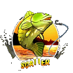 SCATTER SYMBOL เกมBIG BASS HOLD AND SPINS ค่ายPP