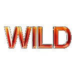 WILD SYMBOL เกมLITTLE GEM HOLD AND SPIN ค่ายPP