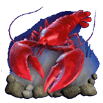 กุ้งกราม เกม DOLPHINS PEARL DELUXE