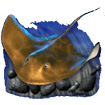 ปลากระเบน เกม DOLPHINS PEARL DELUXE