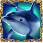 ปลาโลมา เกม DOLPHINS PEARL DELUXE