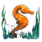 ม้าน้ำ เกม DOLPHINS PEARL DELUXE