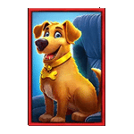 สัญลักษณ์พิเศษ สุนัข เกมWILD CELEBRITY BUS MEGAWAYS ค่ายPP