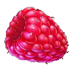 สัญลักษณ์พิเศษ เบอร์รี่ เกม JUICY FRUITS ค่ายPP