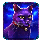 สัญลักษณ์พิเศษ แมวดำ เกมMADAME DESTINY MEGAWAYS ค่ายPP
