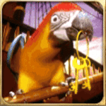 นกแก้ว เกม CAPTAIN TREASURE PRO ค่าย JOKER