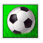 ฟุตบอล เกม FOOTBALL RULES ค่าย Joker