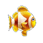 สัญลักษณ์พิเศษ ปลานีโม่ เกมGREAT REEF ค่ายPP