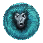 สัญลักษณ์พิเศษ ลิงสีฟ้า เกม 7 MONKEYS ค่ายPP