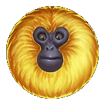 สัญลักษณ์พิเศษ ลิงสีเหลือง เกม 7 MONKEYS ค่ายPP