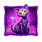 สัญลักษณ์พิเศษ แมว เกมBONE FORTUNE ค่ายJILI