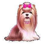 สัญลักษณ์พิเศษ หมาชิสุ เกม THE DOG HOUSE MULTIHOLD ค่าย PRAGMATIC PLAY