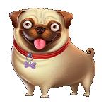 สัญลักษณ์พิเศษ หมาปั๊ก เกม THE DOG HOUSE MULTIHOLD ค่าย PRAGMATIC PLAY