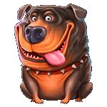 สัญลักษณ์พิเศษ หมาพิทบลู เกม THE DOG HOUSE MULTIHOLD ค่าย PRAGMATIC PLAY