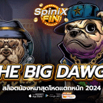 THE BIG DAWGS ค่าย PRAGMATIC PLAY