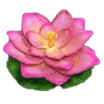 สัญลักษณ์พิเศษ ดอกบัว เกม FORTUNE KOI ค่าย FA CHAI