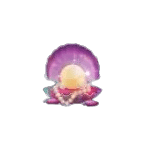 เปลือกมุก เกม MERMAID TREASURE ค่าย NAGAGAME
