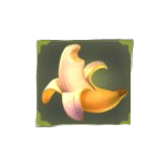 กล้วย เกม WILD APE ค่าย PG SLOT