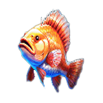 สัญลักษณ์พิเศษ ปลา เกม GREAT LAGOON ค่าย PRAGMATIC PLAY